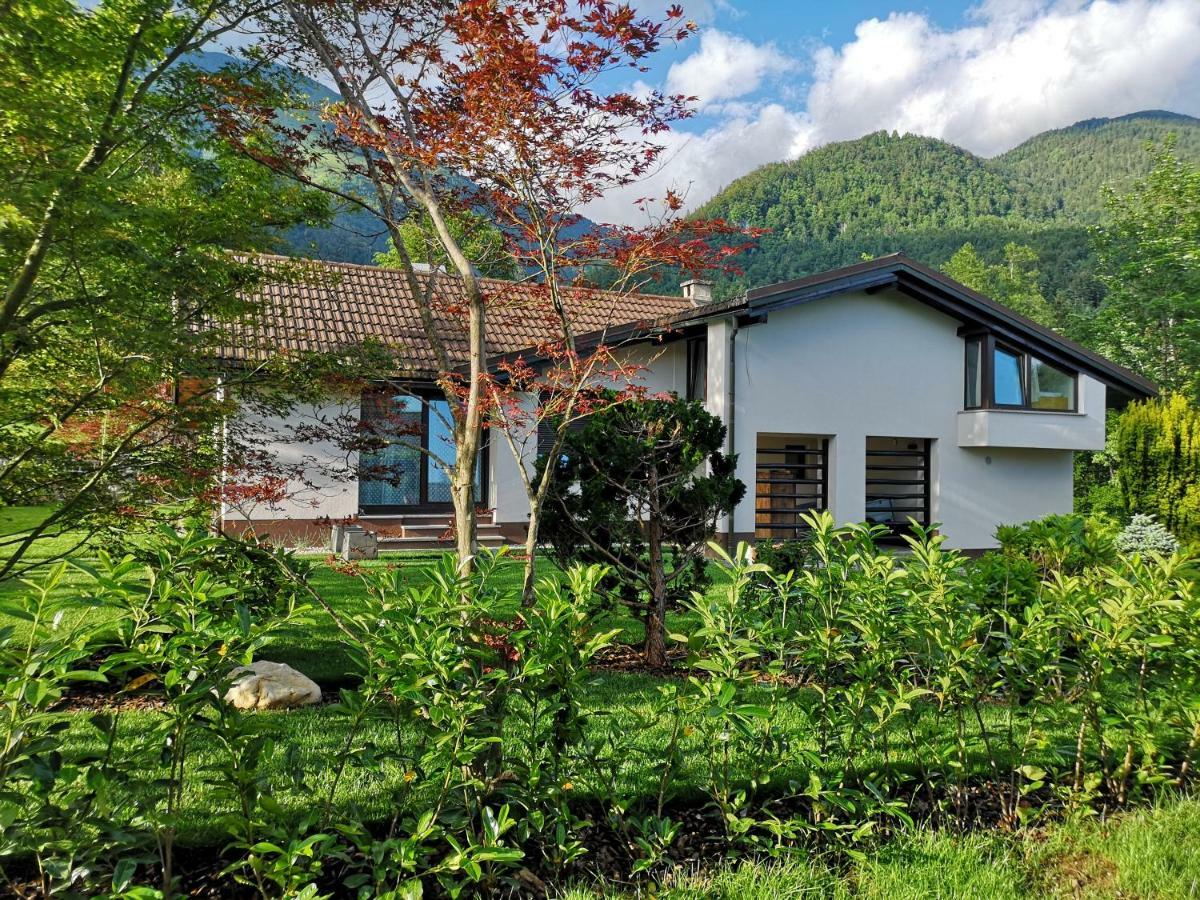 Holiday House Red Deer Preddvor Ngoại thất bức ảnh
